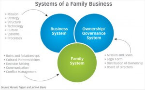 Systems of a Family Business